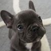 emily_steckler